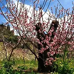 Feriegård Alveare Finale Ligure
