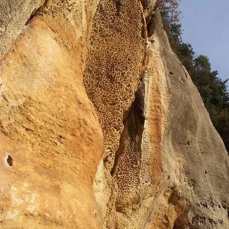Κατάλυμα σε φάρμα Alveare *