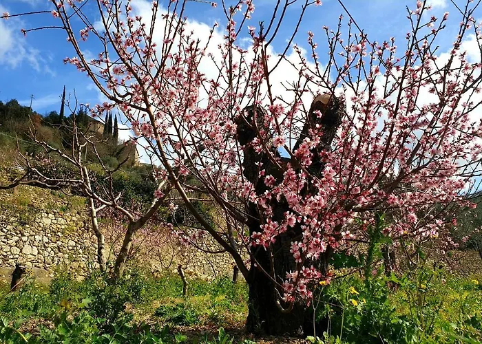 Alojamento de Turismo Rural Alveare Finale Ligure