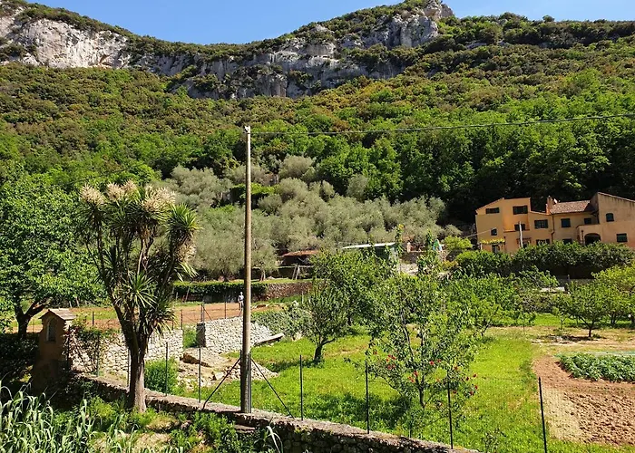 Farm stay Alveare
