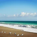Agroturismo Alveare