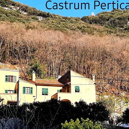 Alveare Alloggio per agriturismo *