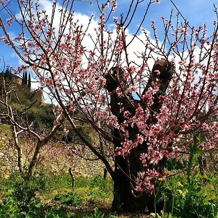 Farm stay Alveare Finale Ligure
